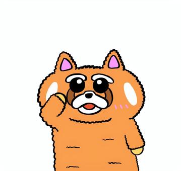 了解 了解 レッサーパンダ,かわいい,茶色,動物,了解,敬礼,挨拶のイラスト素材