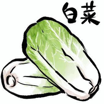 白菜の筆タッチ 白菜,野菜,食材,メニュー,筆タッチ,筆文字のイラスト素材