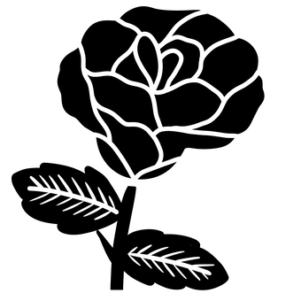 rose, flower, rose, illustration, JPG and PNG