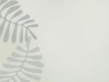 葉の影が映る背景