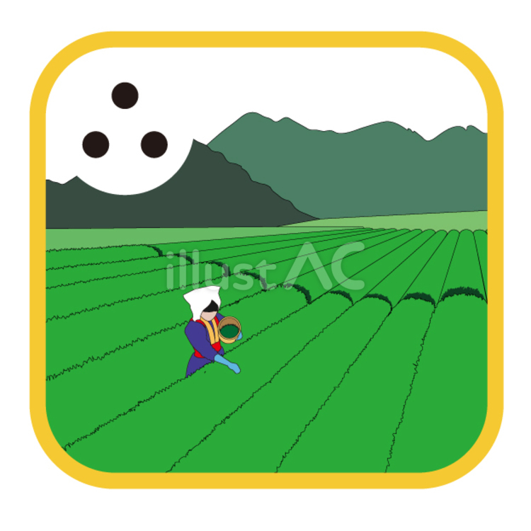 茶畑 社会,教材,農作業のイラスト素材