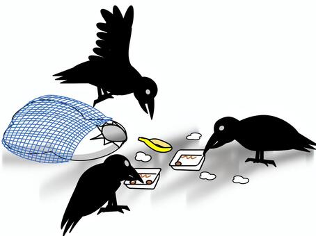 ごみを荒らすカラス（カラー） カラス,ごみ捨て場,ゴミ,獣害,網,対策,ゴミ袋のイラスト素材