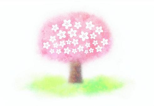 Sakura illustration, layout, flyer, arrange, JPG and PNG