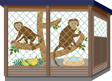 小屋の猿 小屋,オリ,ゲージ,猿,モンキー,動物,アミ,金網,動物園,生き物のイラスト素材