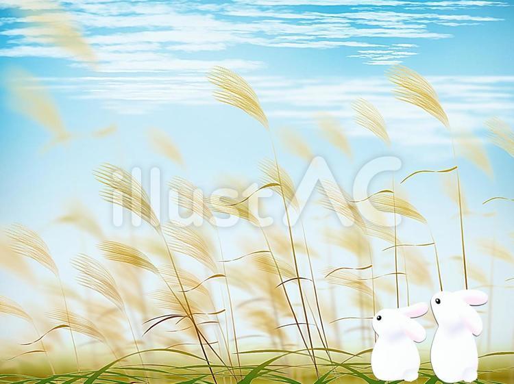 Free Vectors Pampas grass field