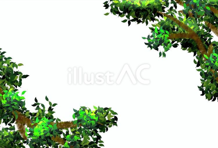 木の枝と葉っぱの角フレーム背景＊透明水彩 新緑,木,葉っぱのイラスト素材