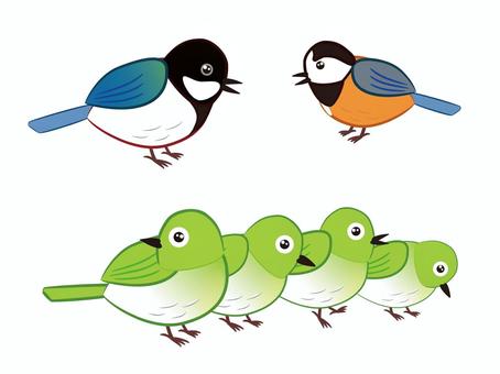 野鳥（ヤマガラ　シジュウカラ　メジロ） 野鳥,ヤマガラ,シジュウカラ,メジロ,かわいいのイラスト素材