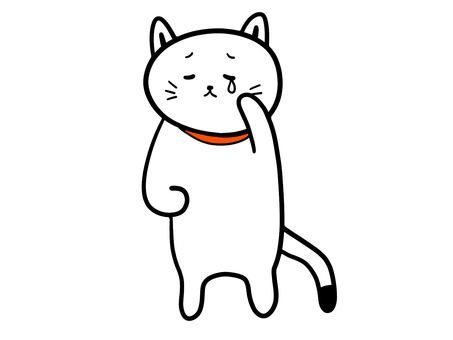 Crying cat, JPG, PNG and AI Crying cat, cat, cry, sad, JPG, PNG and AI
