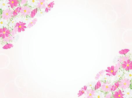 コスモスのフレーム、背景48 コスモス,秋桜,秋,花束,花,水彩,背景,フレーム,手描き,枠のイラスト素材
