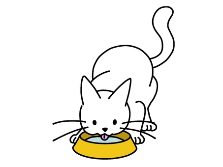 水を飲む白ねこちゃん