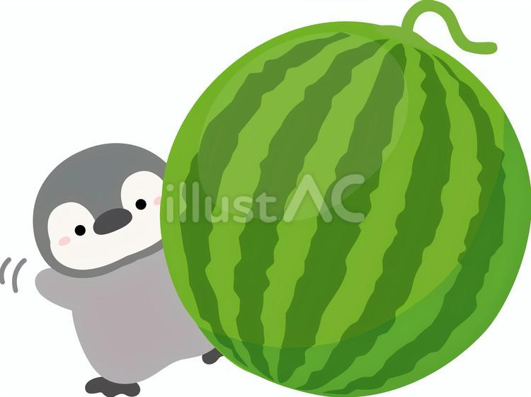 スイカとペンギンの夏のイラスト09 スイカ,夏,すいかのイラスト素材