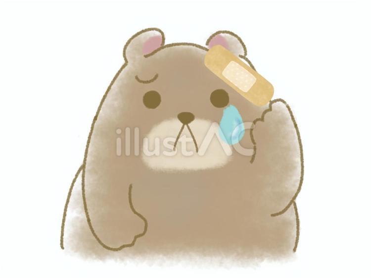 怪我をしたクマ クマ,怪我,絆創膏のイラスト素材