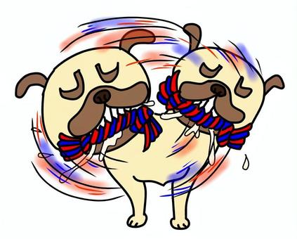 ロープおもちゃを振り回すパグ パグ,フォーン,鼻ぺちゃ犬,かわいい,ゆるい,手描き,おもちゃ,ロープおもちゃ,よだれ,振り回すのイラスト素材