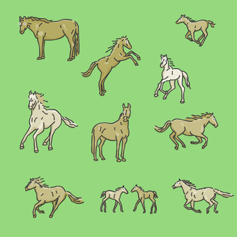 スタイリッシュなウマのイラスト 馬,子馬,白馬,シンプル,動物のイラスト素材