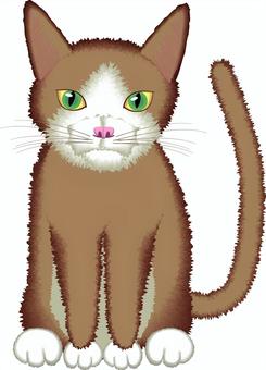 Illustration, cat, a pet, sit, JPG, PNG and AI