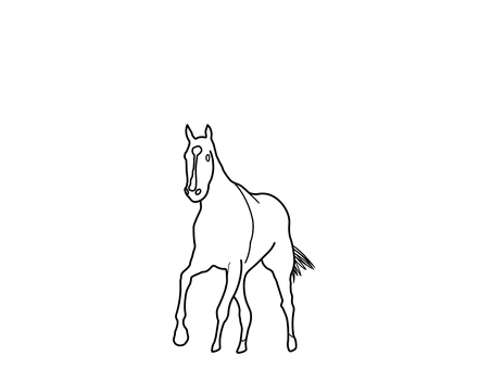 馬 馬,動物,生き物,哺乳類,サラブレッド,競走馬,野生,自然,ポニー,干支のイラスト素材