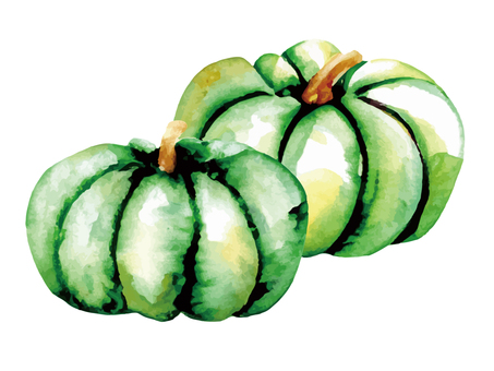 watercolor illustration of two pumpkins, , JPG, PNG and AI