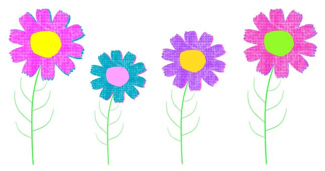 flower, flower, plant, leaf, JPG and PNG