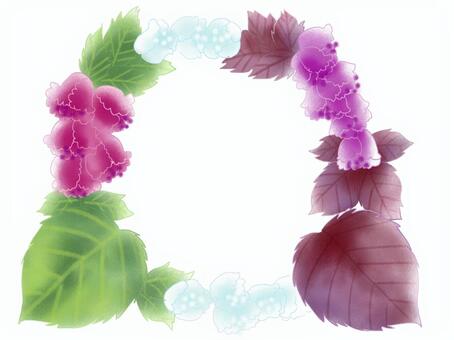 Shiso (perilla), basil, macrophyll, flower, JPG and PNG