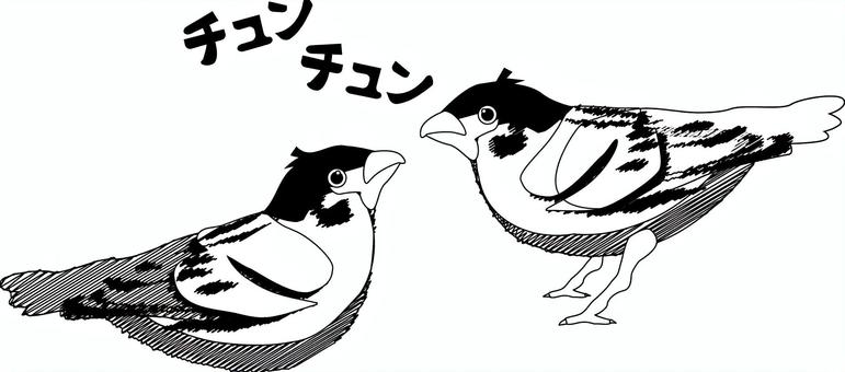 雀 雀,小鳥,野鳥,かわいい,羽,横向き,2匹,鳴き声,白黒のイラスト素材