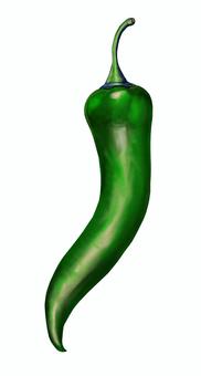 青唐辛子　イラスト　素材 青,唐辛子,食べ物,アイコン,アート,リアル,イラスト,素材のイラスト素材