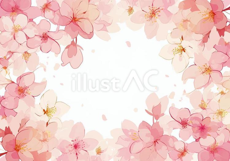 サクラの美しい飾り枠（フレーム）6 桜,春,フレームのイラスト素材