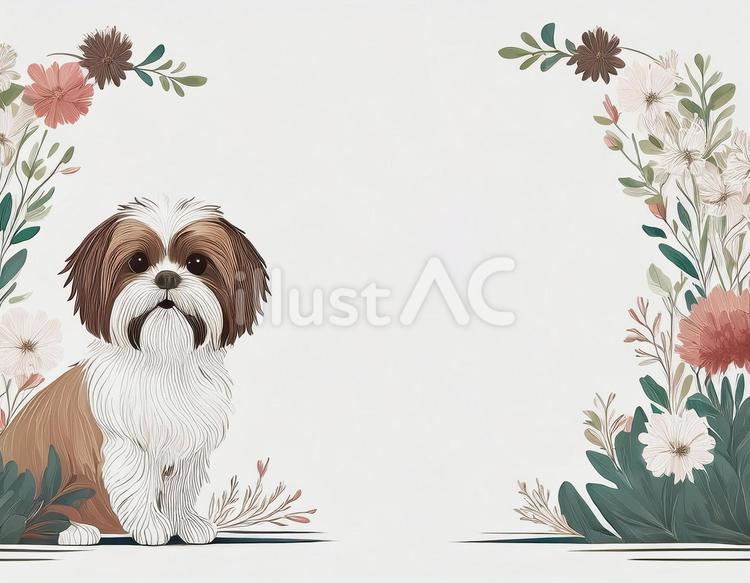 シーズー　背景　フレーム　素材 犬,フレーム,動物のイラスト素材