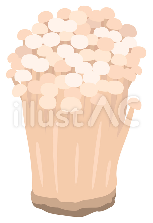 えのきイラスト No 無料イラストなら イラストac