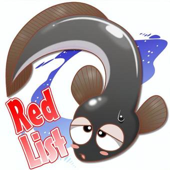 うなぎ うなぎ,絶滅危惧種,魚,淡水魚,夜行性のイラスト素材