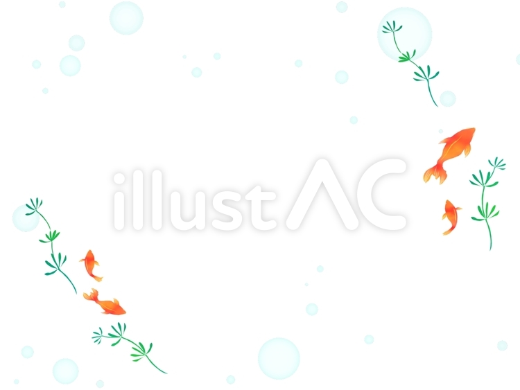 金魚　水彩　フレーム 金魚,水玉,水草のイラスト素材