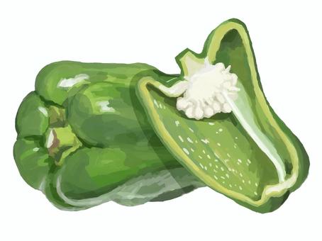 リアルすぎないピーマン 食べ物,野菜,ピーマン,緑黄色野菜,断面,カット,半分,ピーマンの種のイラスト素材