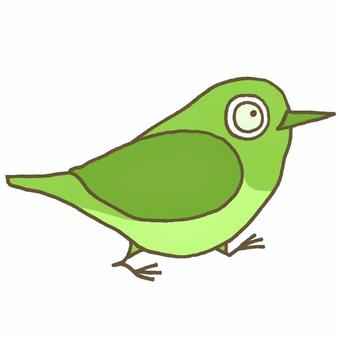 歩くメジロ メジロ,鳥,デフォルメ,歩く,緑色,小鳥,生き物,かわいい,挿絵,単体のイラスト素材