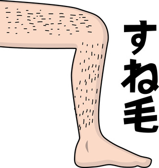 すね毛　　 すね毛,ムダ毛,足,膝,関節,体,パーツ,シンプル,文字,線画のイラスト素材