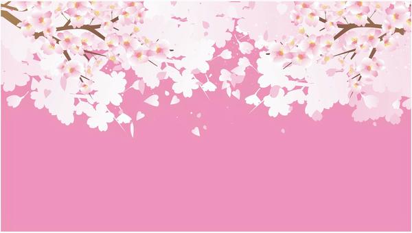 桜の花びら背景