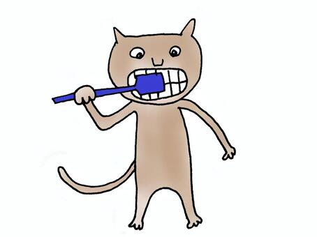 Illustration, cat, dentifrice, animal, 