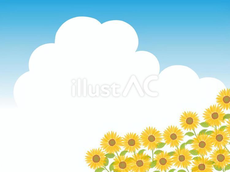 ひまわり畑と夏空と夏雲2 ひまわり,向日葵,青空のイラスト素材