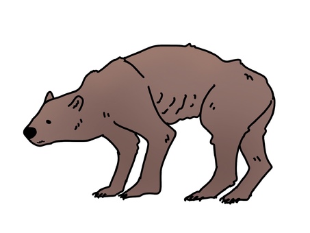 A bear that looks hungry and skinny, , JPG and PNG