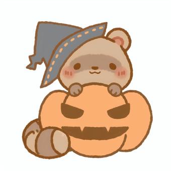 Illustration, raccoon, animal, halloween, 