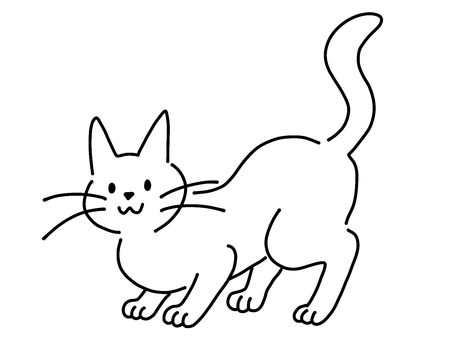 こっちを見る白ねこちゃん こっちを見る白ねこちゃん 見る,見つめる,ねこ,猫,ネコ,ペット,動物,白,かわいい,シンプルのイラスト素材