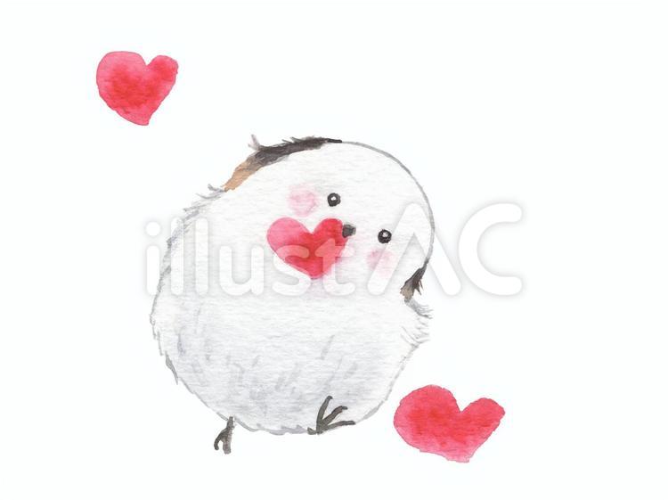 シマエナガとハート シマエナガ,鳥,ハートのイラスト素材