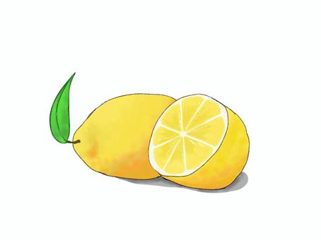 レモン レモン,檸檬,果物,食べ物,夏,夏バテ防止,夏バテ,夏の食べ物のイラスト素材