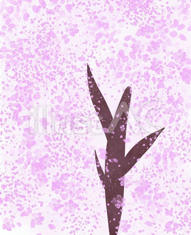 桜 桜,春,花びらのイラスト素材