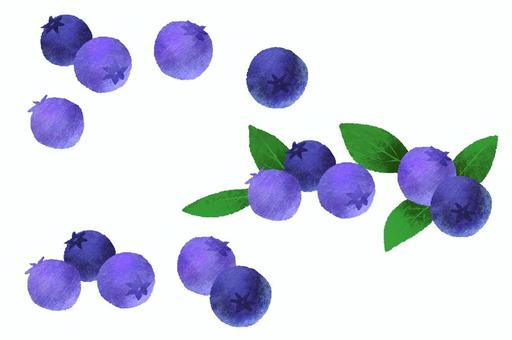 Illustration, blueberry, fruits, fruit, 