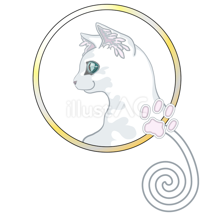 白猫 白猫,猫,シロネコのイラスト素材