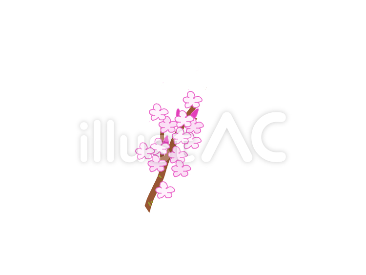 桜 さくら,春,花のイラスト素材