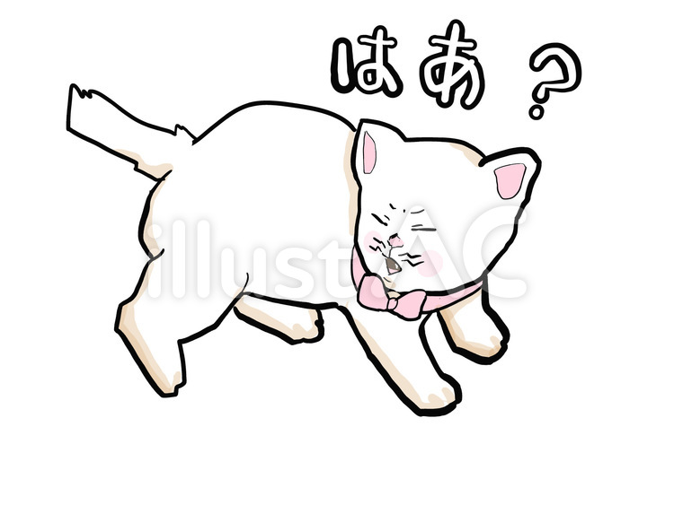 はあ？ 猫,子猫,動物のイラスト素材