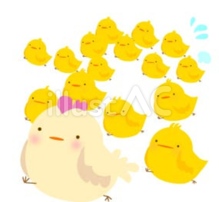 にわとり　ひよこ にわとり,ひよこ,沢山のイラスト素材