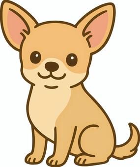 チワワ チワワ,犬,小型犬,可愛い,子犬,ベクター,茶色のイラスト素材