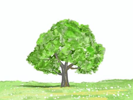 木 木 木,草原,風景,水彩風,手描きのイラスト素材