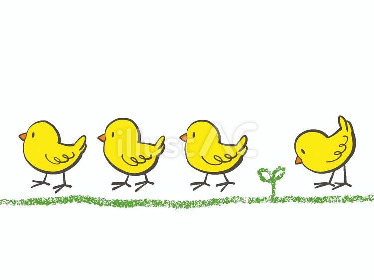 ヒヨコ3 ヒヨコ,ひよこ,鳥のイラスト素材
